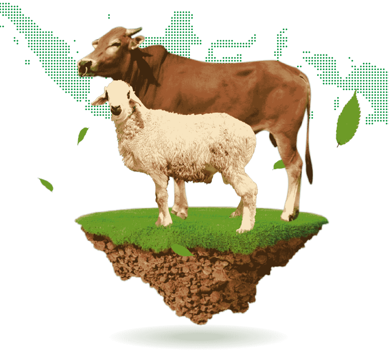 Qurban